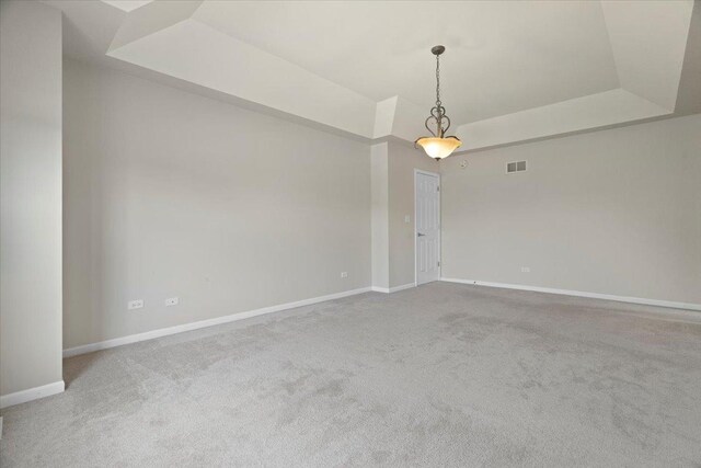 13613 Arborview Blvd, Plainfield, IL 60585 - spare room with a tray ceiling and carpet flooring