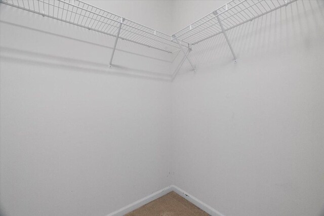 13613 Arborview Blvd, Plainfield, IL 60585 - spacious closet featuring carpet floors