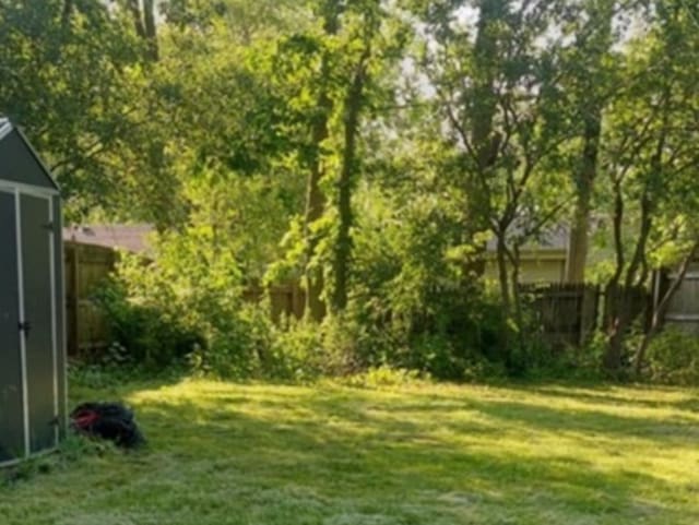348 Niagara St, Park Forest, IL 60466 - view of yard with a shed