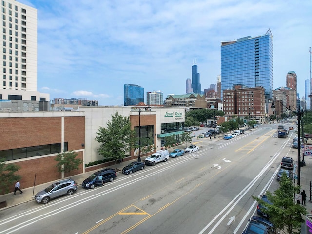 1243 S Wabash Ave Unit 302, Chicago, IL 60605 - view of city skyline