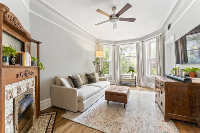 1128 W Wolfram St Unit 2, Chicago, IL 60657 - living room with a ceiling fan, wood finished floors, and ornamental molding