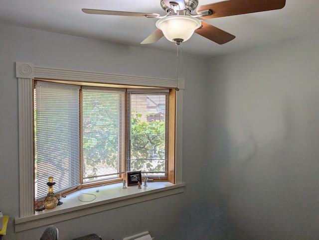 301 N Redfield Ct, Park Ridge, IL 60068 - detailed view of a ceiling fan