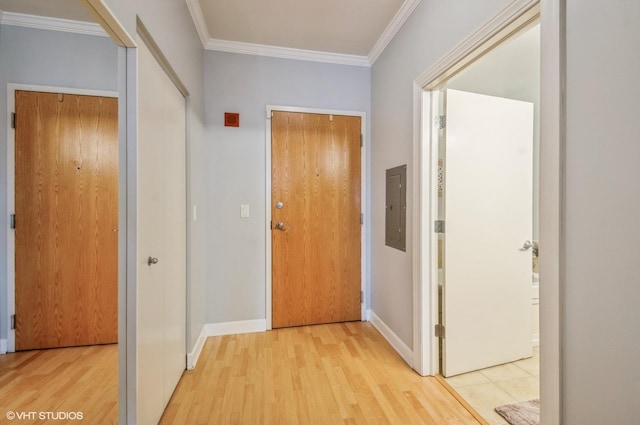 451 W Huron St Unit 905, Chicago, IL 60654 - hall with electric panel, light wood-style flooring, ornamental molding, and baseboards