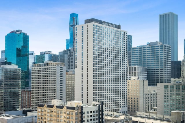 2 E Erie St Unit 2114, Chicago, IL 60611 - skyline view