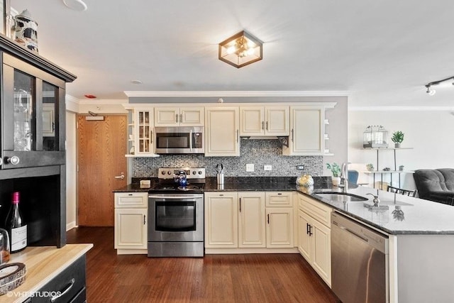 2 E Erie St Unit 2114, Chicago, IL 60611 - kitchen featuring cream cabinets, stainless steel appliances, a sink, crown molding, and dark wood-style flooring