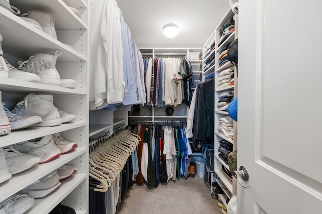 2757 N Wayne Ave Unit E, Chicago, IL 60614 - spacious closet with carpet
