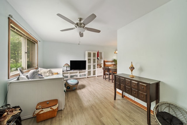 6617 Foxtree Ave, Woodridge, IL 60517 - living area featuring light wood-type flooring and ceiling fan