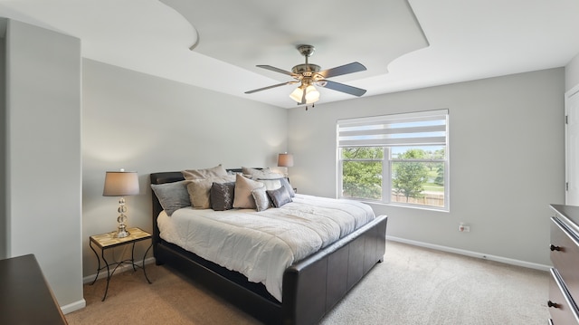 5321 Meadowbrook St, Plainfield, IL 60586 - bedroom with light carpet and a ceiling fan