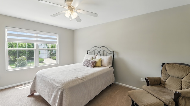 5321 Meadowbrook St, Plainfield, IL 60586 - bedroom with carpet, multiple windows, and a ceiling fan