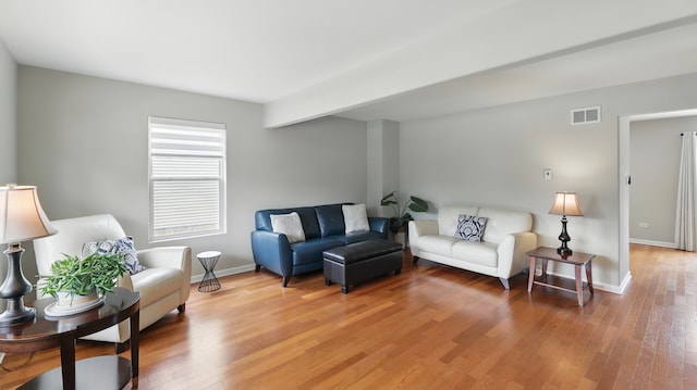 5321 Meadowbrook St, Plainfield, IL 60586 - living area with light wood-style floors