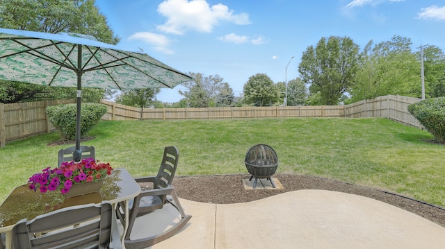 5321 Meadowbrook St, Plainfield, IL 60586 - fenced backyard with a patio area and a fire pit