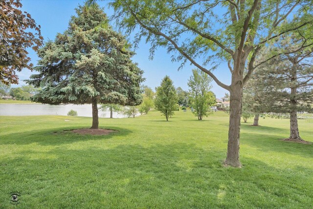 262 Mallards Cv, Beecher, IL 60401 - photo 26