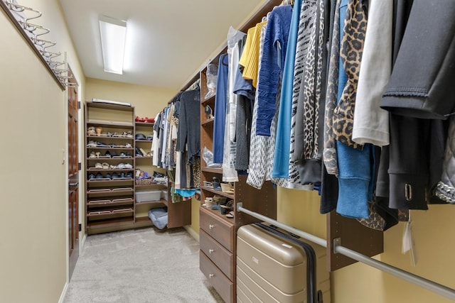 1835 Rizzi Ln, Bartlett, IL 60103 - spacious closet featuring light carpet