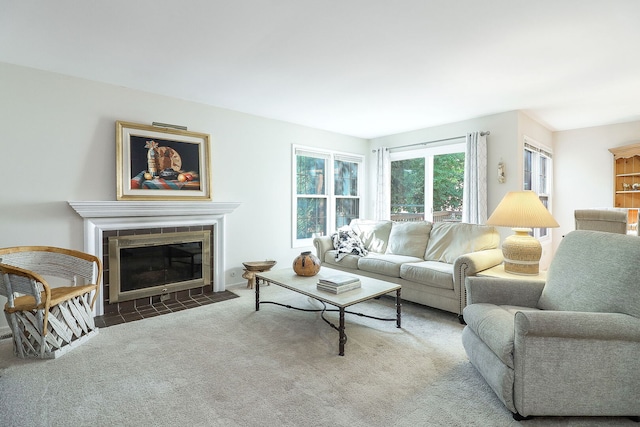 1149 Wheaton Oaks Dr Unit 0, Wheaton, IL 60187 - carpeted living room featuring a fireplace