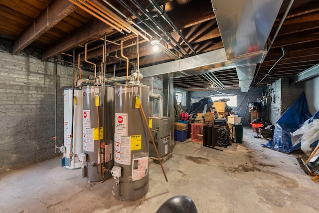 8122 S Evans Ave, Chicago, IL 60619 - unfinished basement with gas water heater
