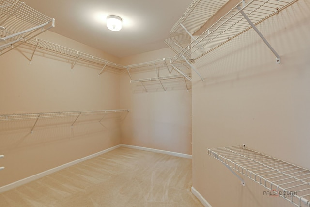 15 Open Pkwy N, Hawthorn Woods, IL 60047 - spacious closet with carpet
