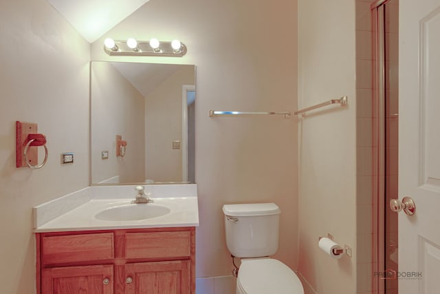 15 Open Pkwy N, Hawthorn Woods, IL 60047 - bathroom with vaulted ceiling, vanity, and tiled shower