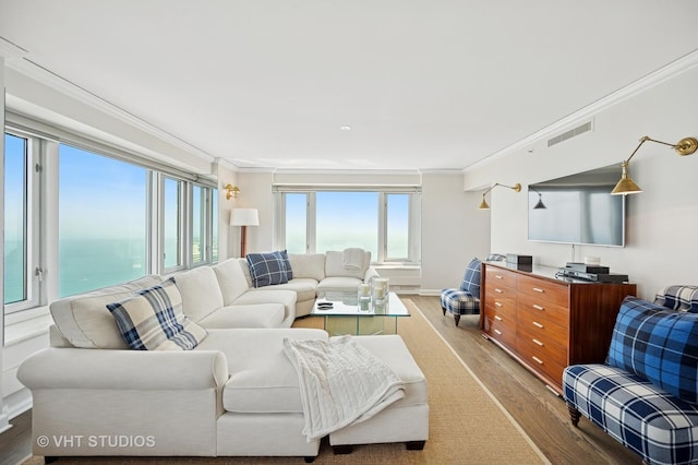 132 E Delaware Pl Unit 5106, Chicago, IL 60611 - living area featuring ornamental molding and wood finished floors