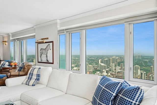 132 E Delaware Pl Unit 5106, Chicago, IL 60611 - living room featuring crown molding and plenty of natural light