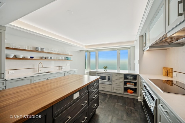 132 E Delaware Pl Unit 5106, Chicago, IL 60611 - kitchen with open shelves, appliances with stainless steel finishes, wood counters, and dark wood-style flooring