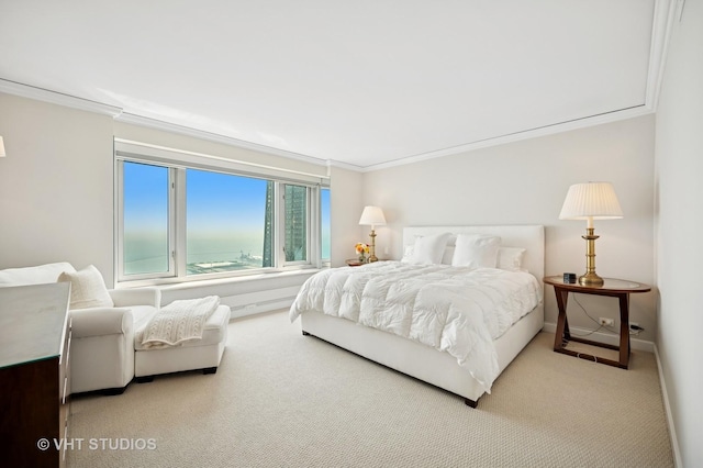132 E Delaware Pl Unit 5106, Chicago, IL 60611 - carpeted bedroom with baseboards and crown molding