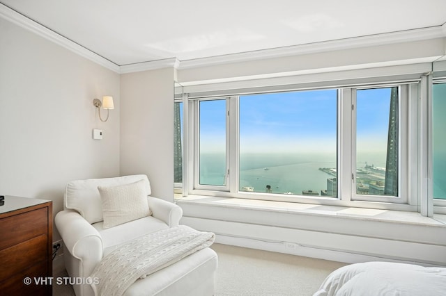 132 E Delaware Pl Unit 5106, Chicago, IL 60611 - carpeted bedroom featuring crown molding