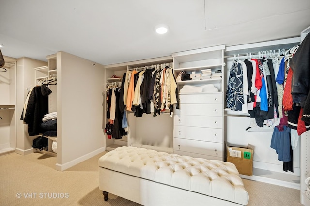 132 E Delaware Pl Unit 5106, Chicago, IL 60611 - walk in closet with carpet floors