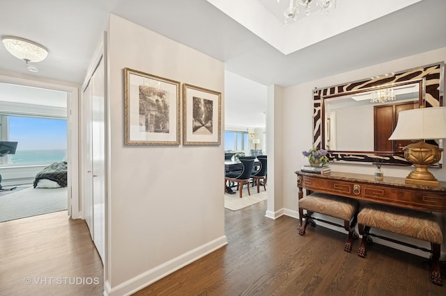132 E Delaware Pl Unit 5106, Chicago, IL 60611 - hall featuring a chandelier, wood finished floors, and plenty of natural light