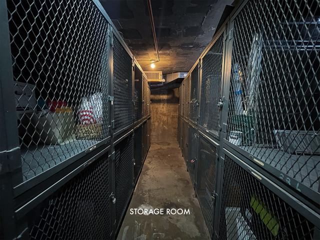 6301 N Sheridan Rd Unit 24C, Chicago, IL 60660 - view of storage area