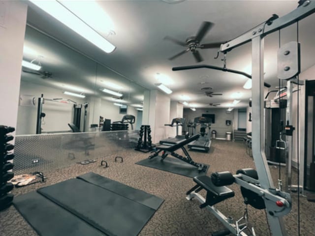 6301 N Sheridan Rd Unit 24C, Chicago, IL 60660 - gym with ceiling fan and carpet