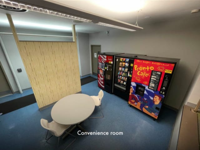 6301 N Sheridan Rd Unit 24C, Chicago, IL 60660 - playroom with carpet floors