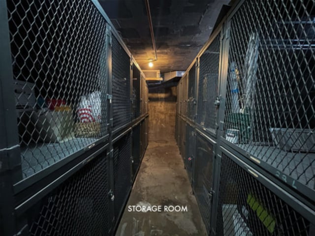 6301 N Sheridan Rd Unit 24C, Chicago, IL 60660 - view of storage area