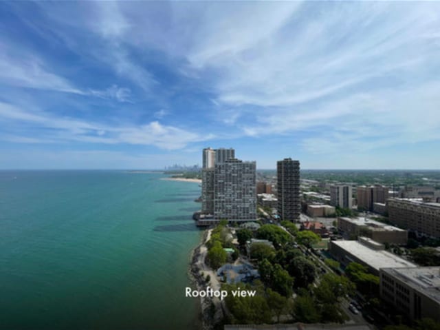 6301 N Sheridan Rd Unit 24C, Chicago, IL 60660 - view of urban area with a nearby body of water