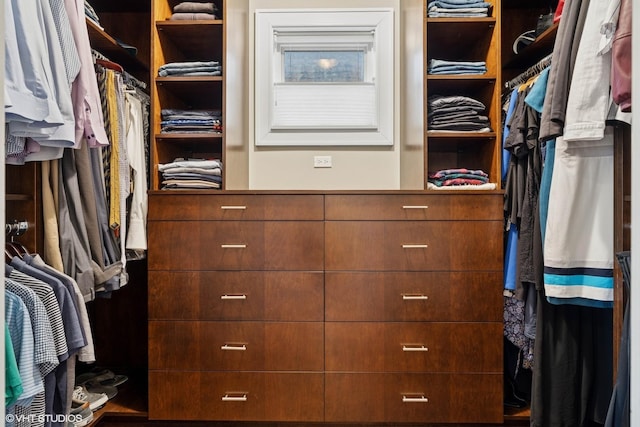1230 W Cornelia Ave, Chicago, IL 60657 - view of walk in closet