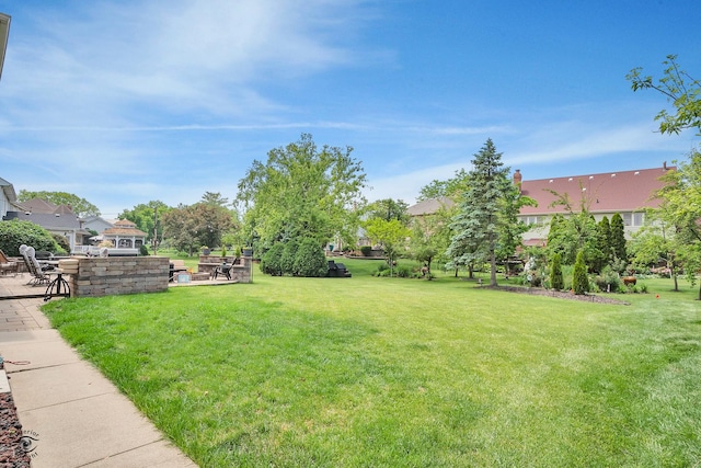 16924 Yearling Crossing Dr, Orland Park, IL 60467 - view of grassy yard with a patio area