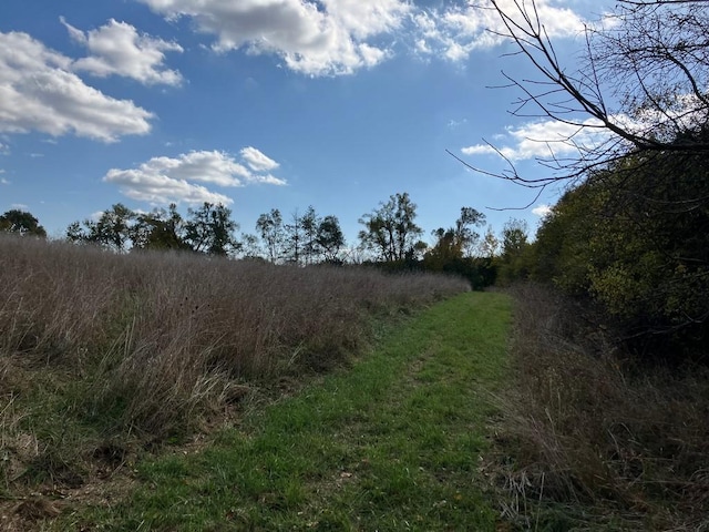 27125 N Williams Park Rd N, Wauconda, IL 60084 - view of undeveloped land