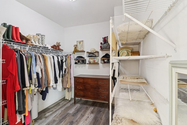 245 Grays Dr, Oswego, IL 60543 - walk in closet featuring wood finished floors