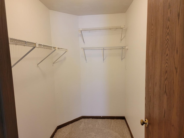 116 White Oak Ct Unit 5, Schaumburg, IL 60195 - spacious closet with carpet floors