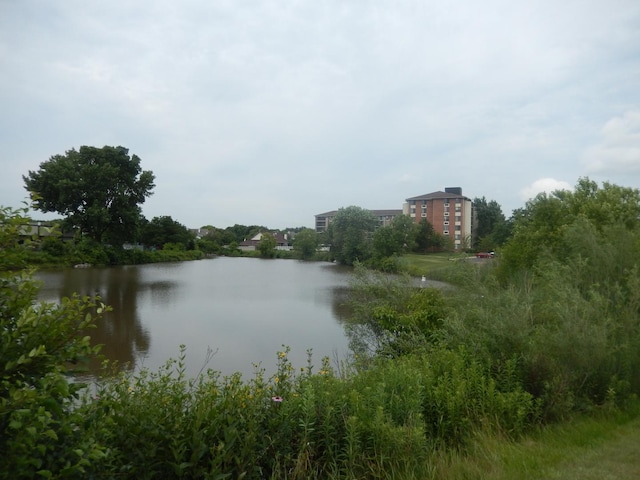 116 White Oak Ct Unit 5, Schaumburg, IL 60195 - water view