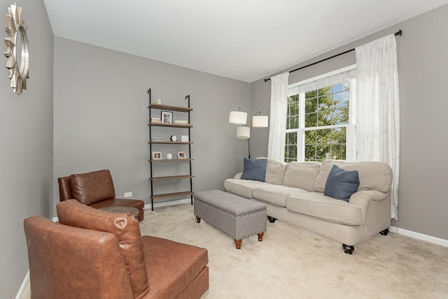 14904 S Morgan Ln, Plainfield, IL 60544 - living area featuring light carpet
