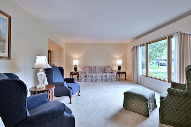 537 S Echo Ln, Palatine, IL 60067 - view of carpeted living area