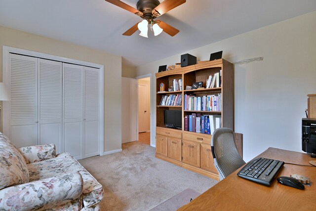 537 S Echo Ln, Palatine, IL 60067 - office space with light colored carpet and a ceiling fan