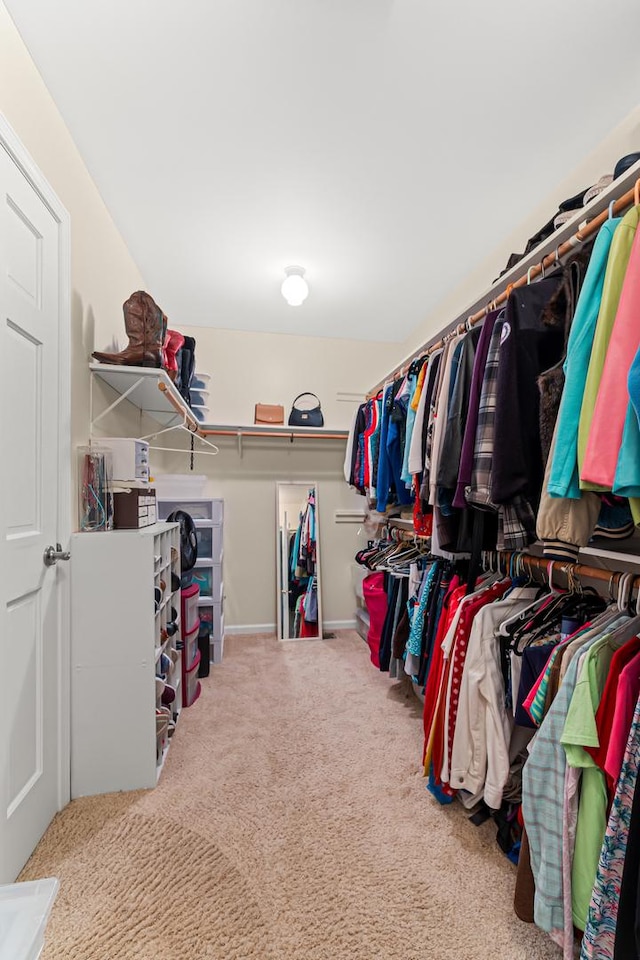 1440 Monarch Cir, Naperville, IL 60564 - walk in closet featuring carpet flooring