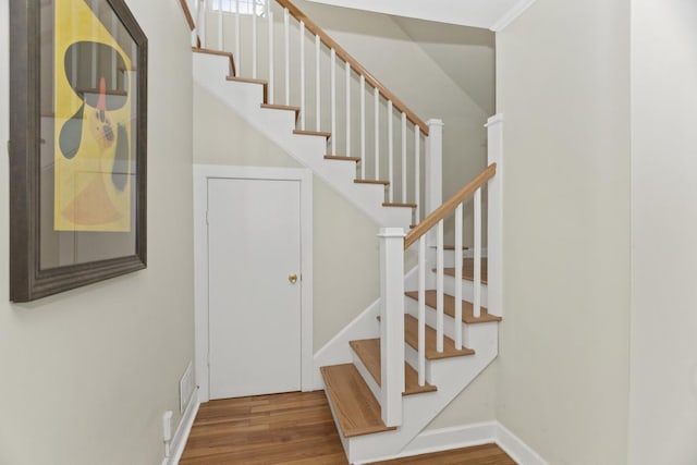 2353 Ridge Ave, Evanston, IL 60201 - photo 14