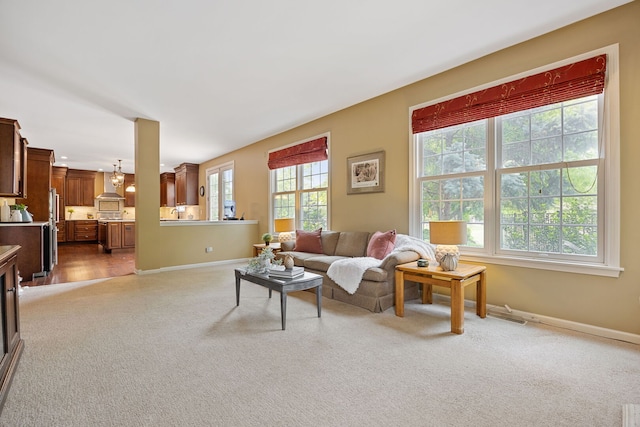 16266 W Mohawk Ct, Lockport, IL 60441 - living area featuring carpet flooring and baseboards