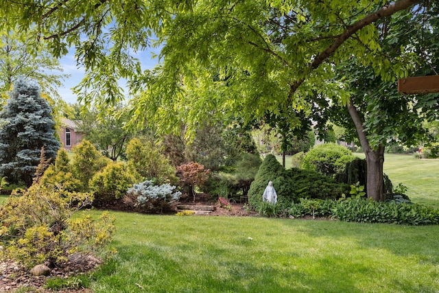 16266 W Mohawk Ct, Lockport, IL 60441 - view of grassy yard