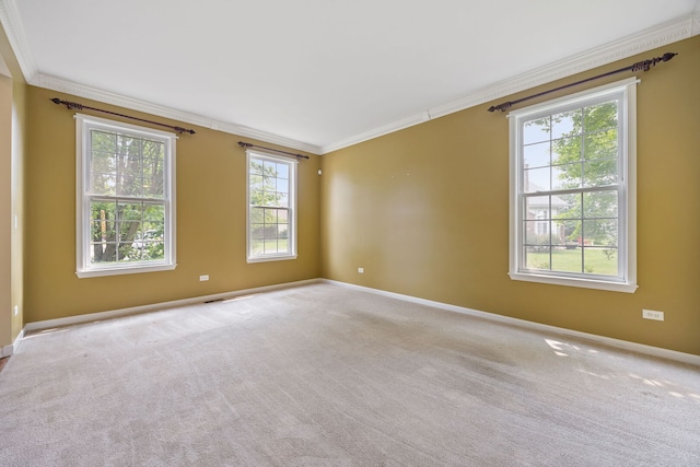 16266 W Mohawk Ct, Lockport, IL 60441 - empty room with crown molding and carpet floors