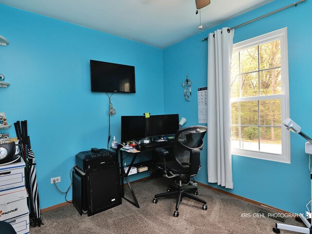 10320 W California Ave, Beach Park, IL 60099 - photo 14
