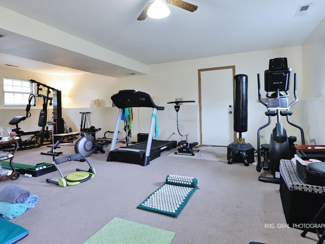 10320 W California Ave, Beach Park, IL 60099 - photo 19