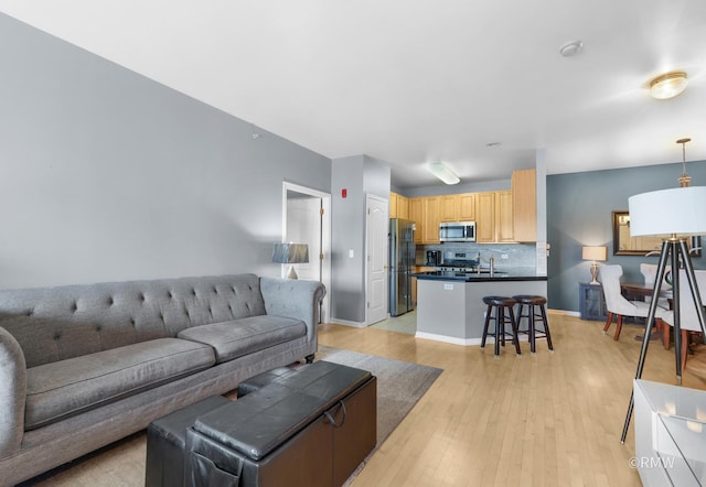 1259 W Lake St Unit 304, Addison, IL 60101 - living area featuring light wood-type flooring and baseboards